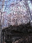 qua Rocca20100328 010